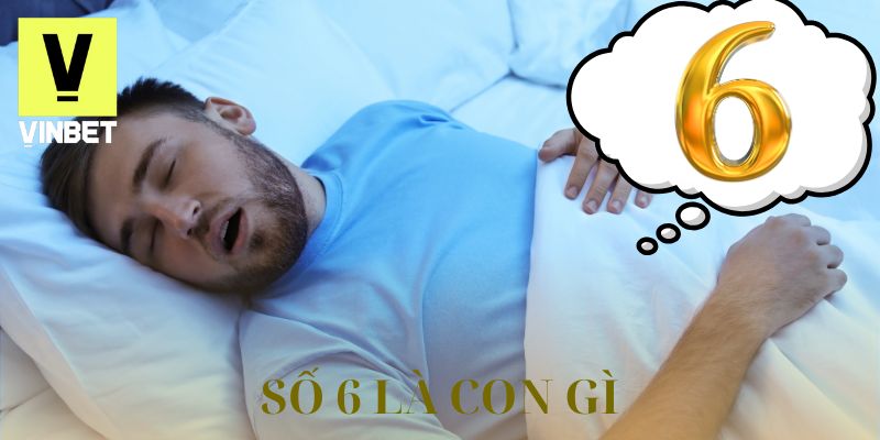 số 6 là con gì