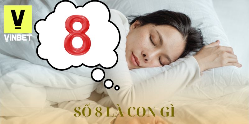số 8 là con gì